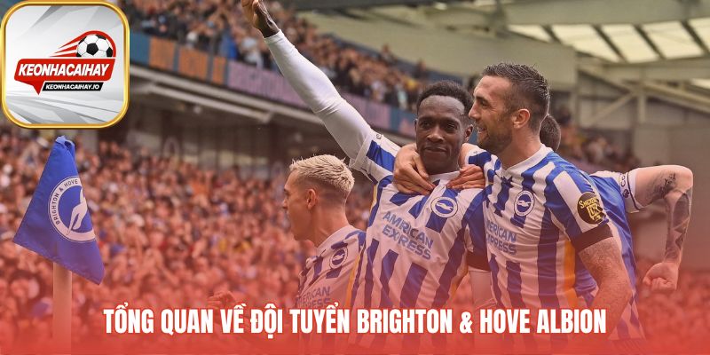 Brighton & Hove Albion vận hành theo mô hình dựa trên dữ liệu