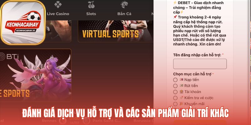 Dịch vụ hỗ trợ và các sản phẩm giải trí khác