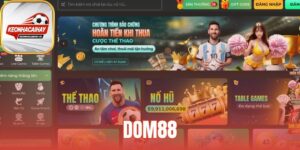 dom88