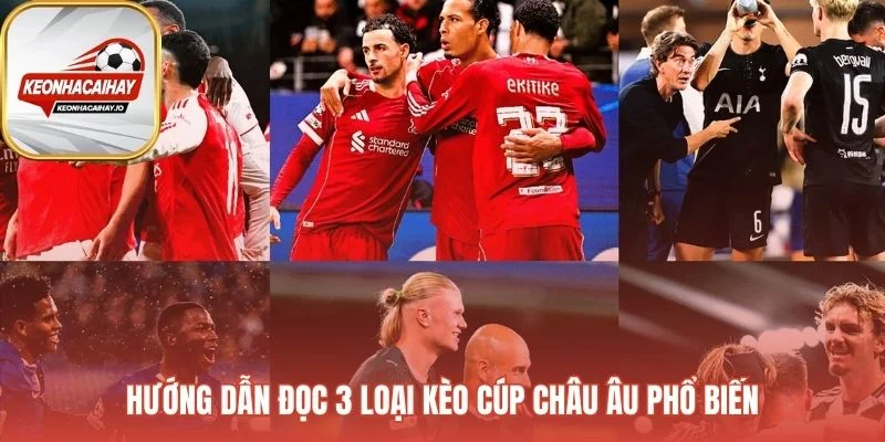 Hướng dẫn giải mã ngôn ngữ các loại kèo phổ biến