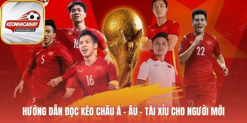 Hướng dẫn đọc kèo Châu Á Tài Xỉu và 1X2 cho người mới